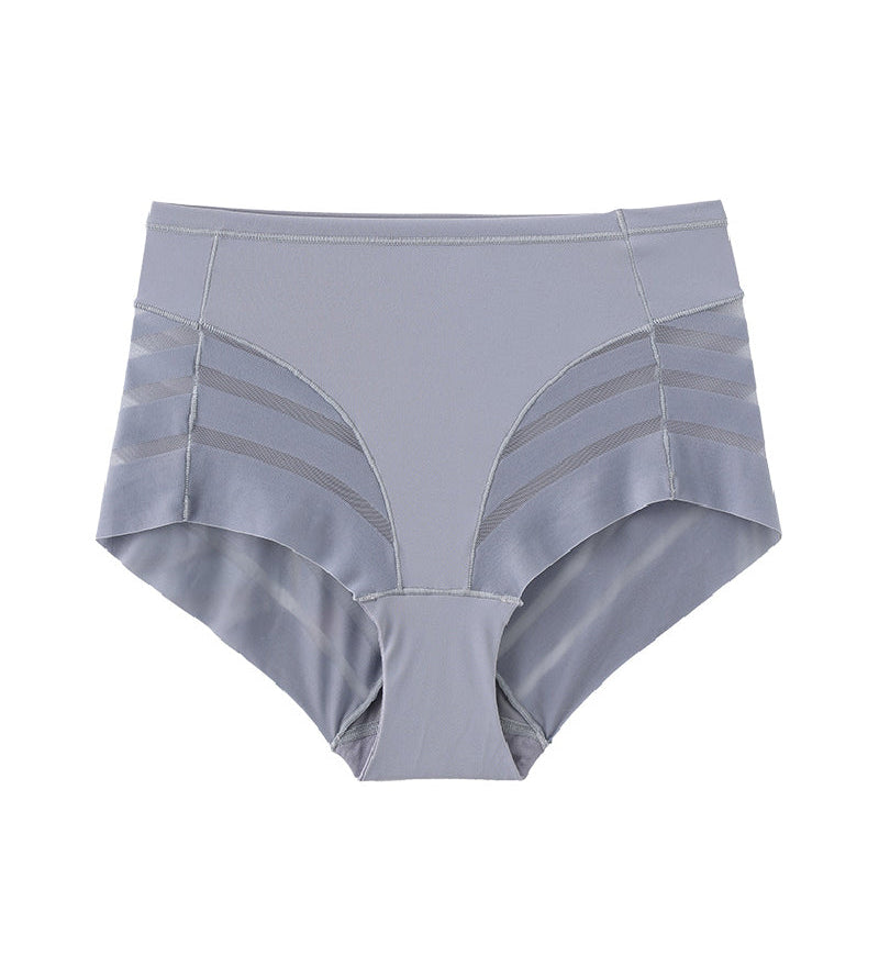 Lace Stripe Undetectable High Waist Briefs Underpants