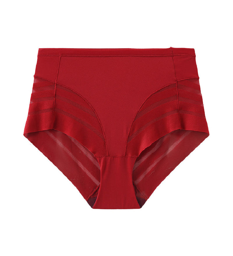 Lace Stripe Undetectable High Waist Briefs Underpants