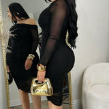 Elegant Slant Collar Long Sleeve Mesh Bodycon Midi Dress
